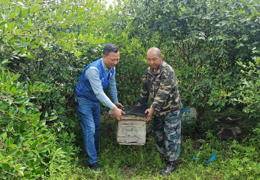 何良協助村民抬蜂箱
