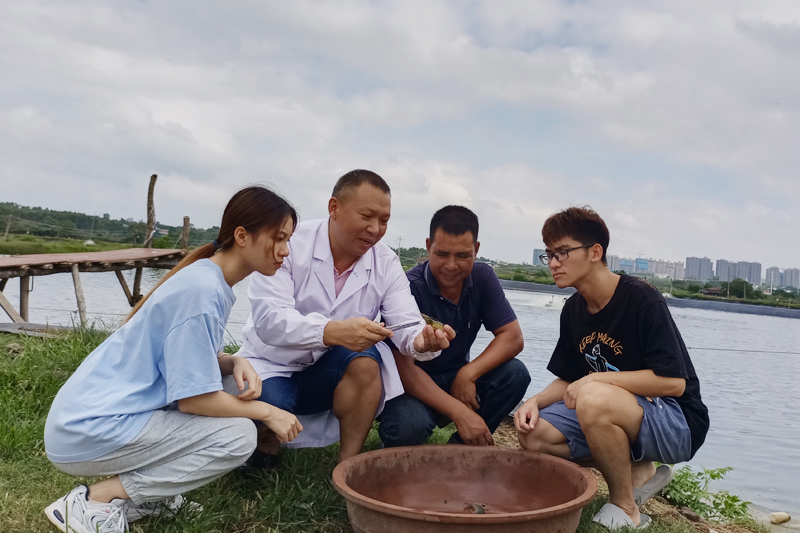 北部灣大學(xué)方懷義科研團(tuán)隊(duì)在觀察對(duì)蝦生長(zhǎng)情況。
