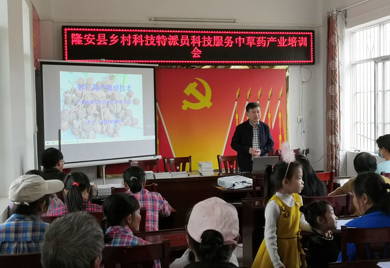 3典型展播-2021年2月23日李力為隆安縣淥龍村種植戶作中草藥栽培技術(shù)培訓(xùn).jpg