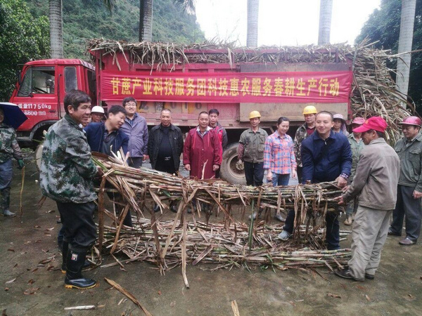 馬文清在為村民贈(zèng)送蔗種。