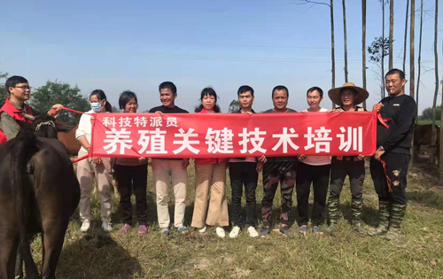 培訓現(xiàn)場。