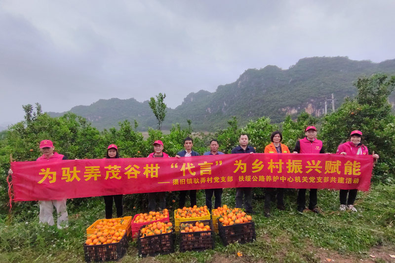 扶綏中心黨支部與幫扶村馱弄村黨支部結(jié)對(duì)共建 鄭春華攝