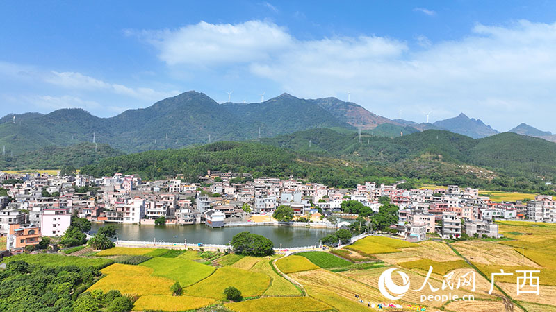 村莊前的稻田。人民網(wǎng)付華周攝