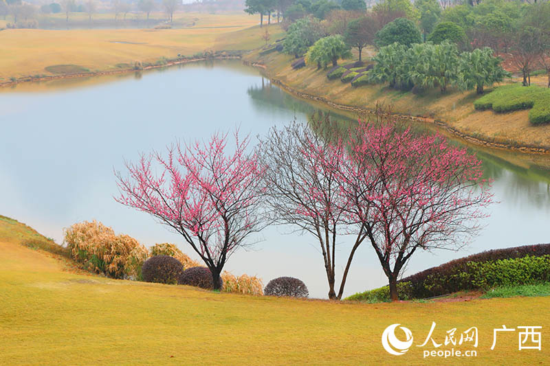 桂海晴嵐湖岸風(fēng)景。人民網(wǎng) 付華周攝