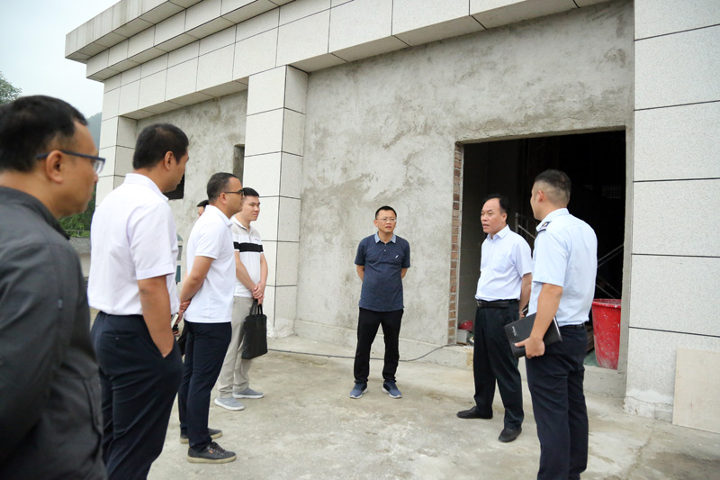 在友誼關口岸新關樓推進口岸建設工作
