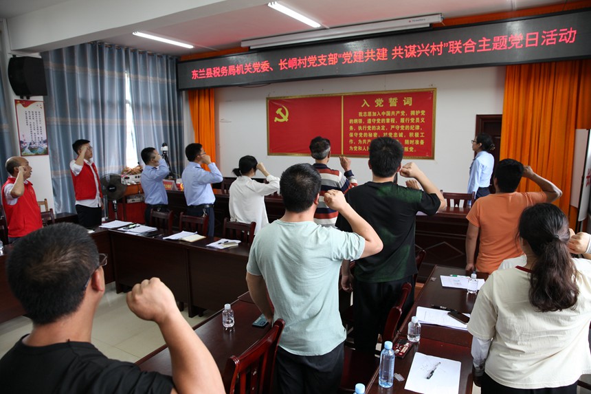 東蘭縣稅務(wù)局黨員與長(zhǎng)峒村黨員重溫入黨誓詞。陳惠芳攝