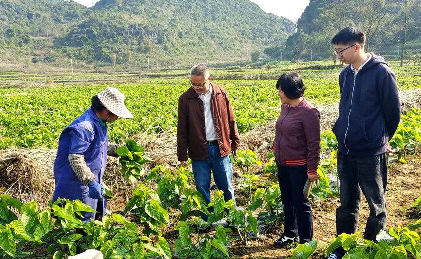 圖為科技特派員在田間指導(dǎo)種植戶桑樹栽植、陪護(hù)