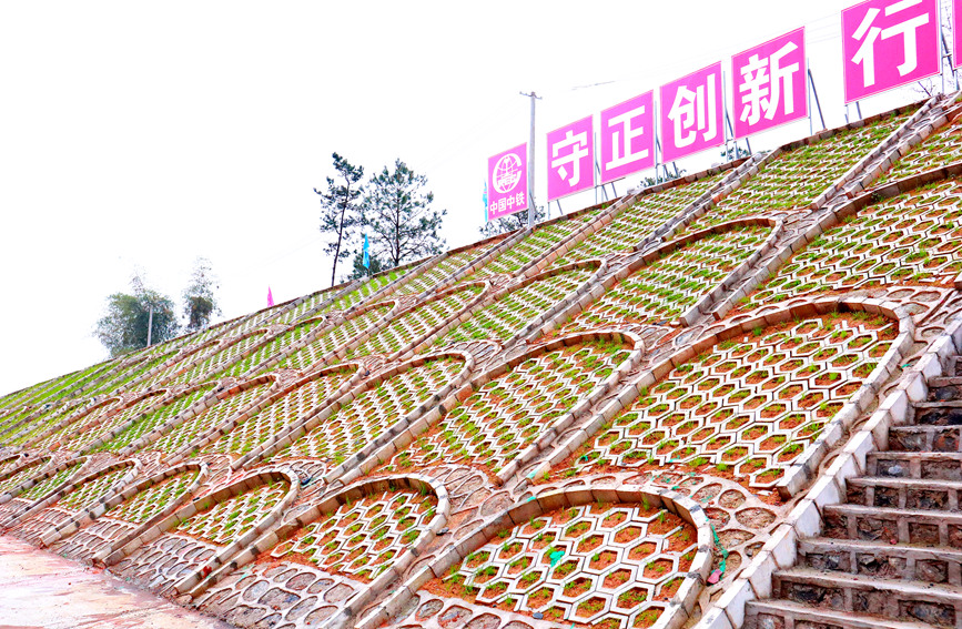 路基拱形骨架護(hù)坡綠化。謝雨婕