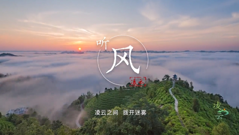 凌云：生態(tài)茶鄉(xiāng) 長壽福地 
