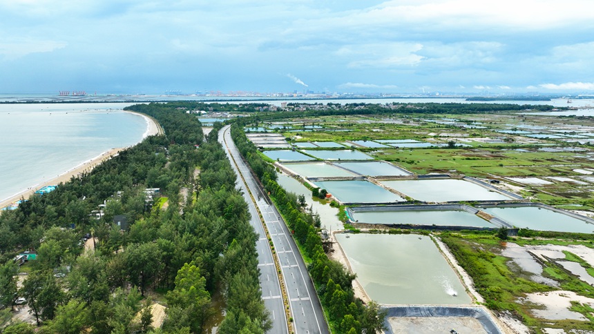 國道228線濱海公路欽州市欽南區(qū)犀麗灣路段。廣西公路發(fā)展中心供圖