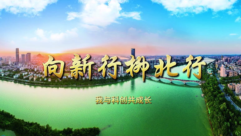 微視：向新行 柳北行