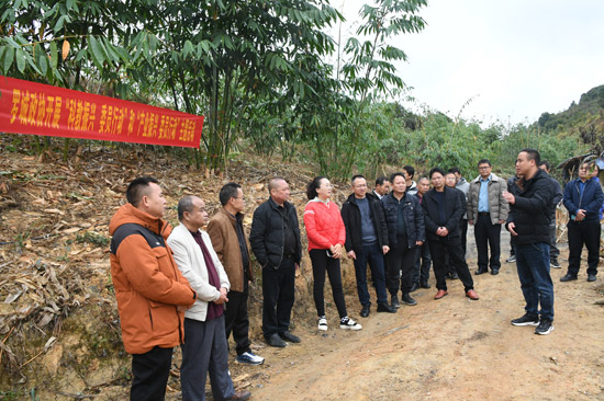 羅城政協(xié)委員在麻竹基地聽取基地負(fù)責(zé)人介紹。