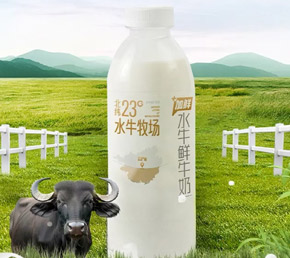 貴港水牛鮮奶
?????貴港水牛鮮奶以其優(yōu)質(zhì)的奶源、豐富的營(yíng)養(yǎng)價(jià)值和獨(dú)特的口感而聞名。?貴港水牛鮮奶主要來(lái)源于廣西貴港市西江農(nóng)場(chǎng),這里擁有得天獨(dú)厚的水源和草場(chǎng),為水牛提供了理想的生長(zhǎng)環(huán)境。貴港水牛鮮奶的脂肪含量較低,但蛋白質(zhì)含量高,這使得其口感特別絲滑,營(yíng)養(yǎng)價(jià)值豐富。