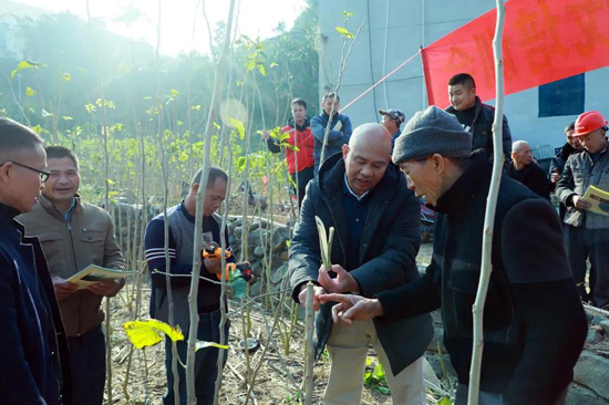技術人員向農戶傳授桑園管護知識。