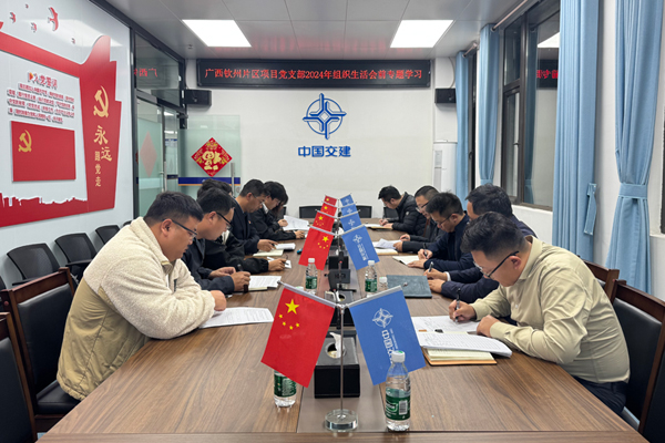 廣西欽州片區(qū)項目黨支部組織召開2024年度組織生活會。梁錦華攝