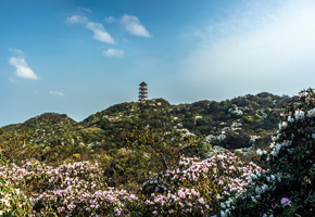 田林老山風(fēng)光
