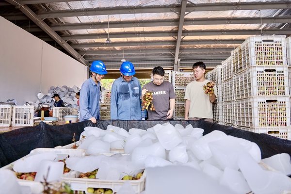 黨員服務隊了解企業(yè)生產(chǎn)經(jīng)營情況和當前用電需求。