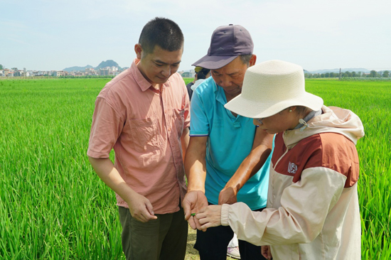 農(nóng)技人員向農(nóng)戶傳授實(shí)用技術(shù)。黃桂蘭攝